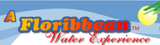 A Floribbean Water Experience